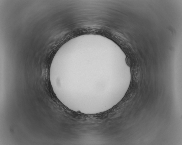 X0000113021061200909241630