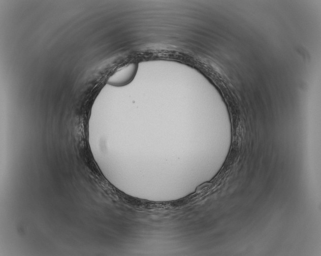 X0000113021062200909241630