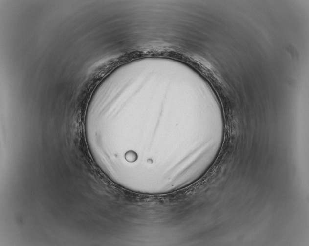 X0000113021063200909241630