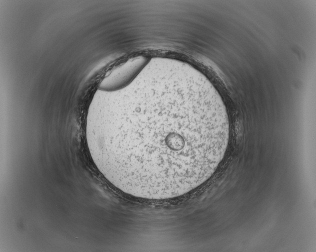 X0000113021064200909241630