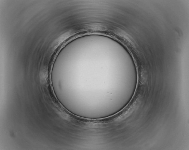 X0000113021065200909241630