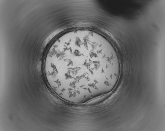 X0000113021066200909241630