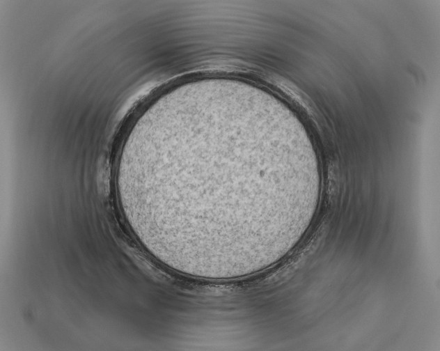 X0000113021067200909241630