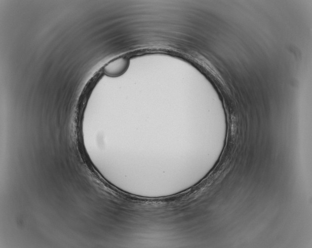 X0000113021068200909241630