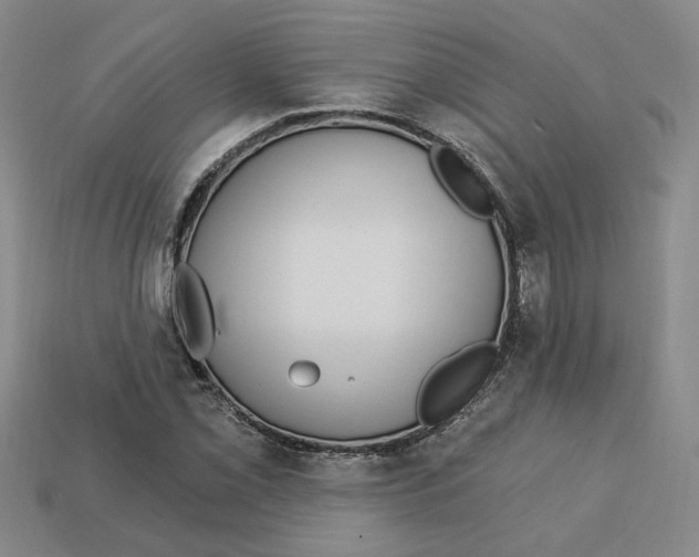 X0000113021069200909241630