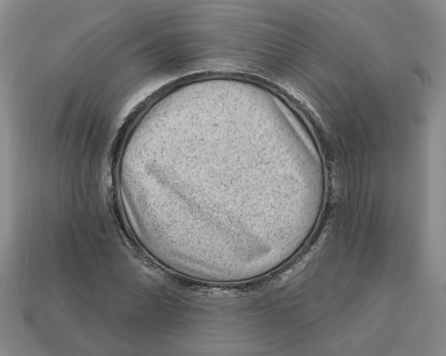 X0000113021070200909241630