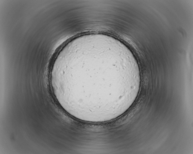 X0000113021071200909241630