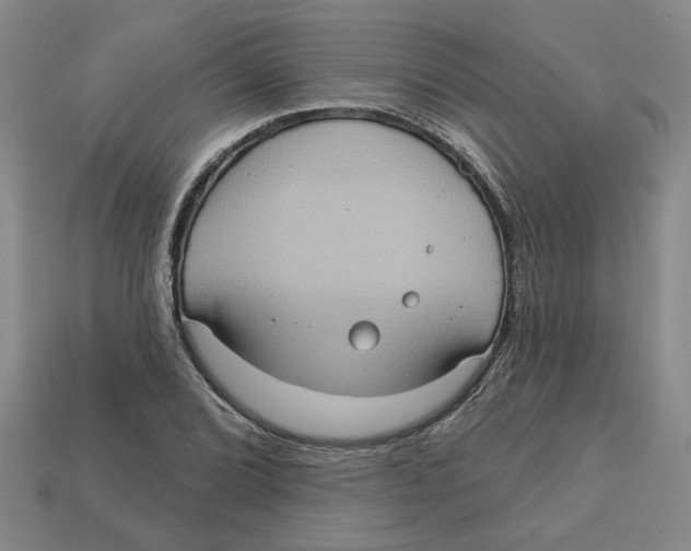 X0000113021072200909241630