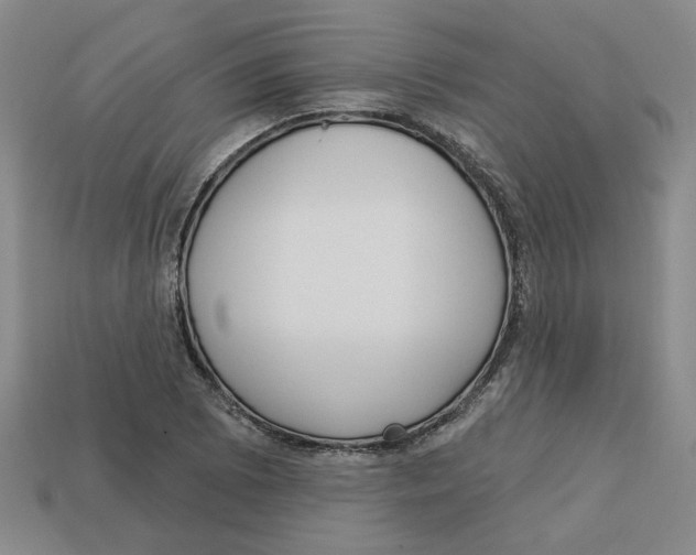 X0000113021073200909241630