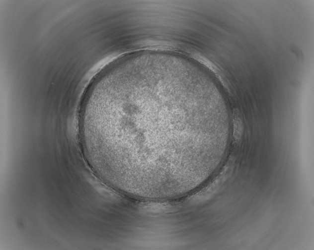 X0000113021074200909241630