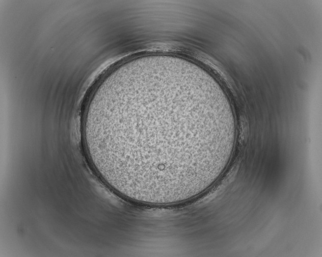 X0000113021075200909241630