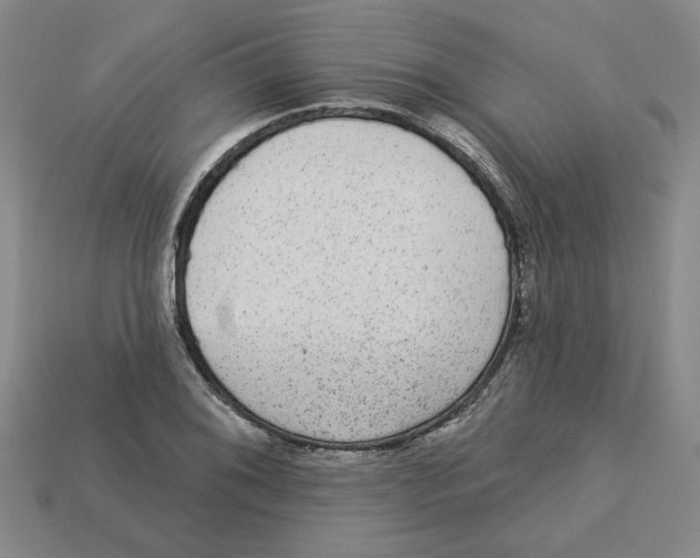 X0000113021076200909241630