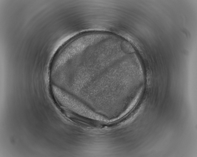 X0000113021077200909241630