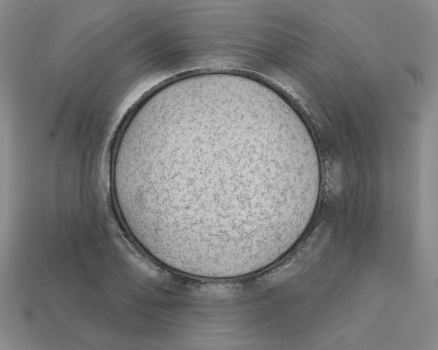 X0000113021078200909241630