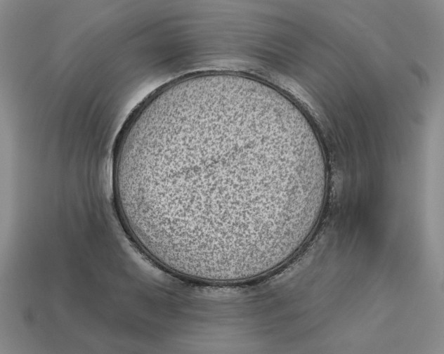 X0000113021079200909241630