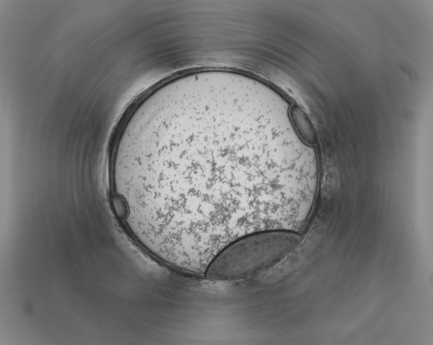 X0000113021080200909241630