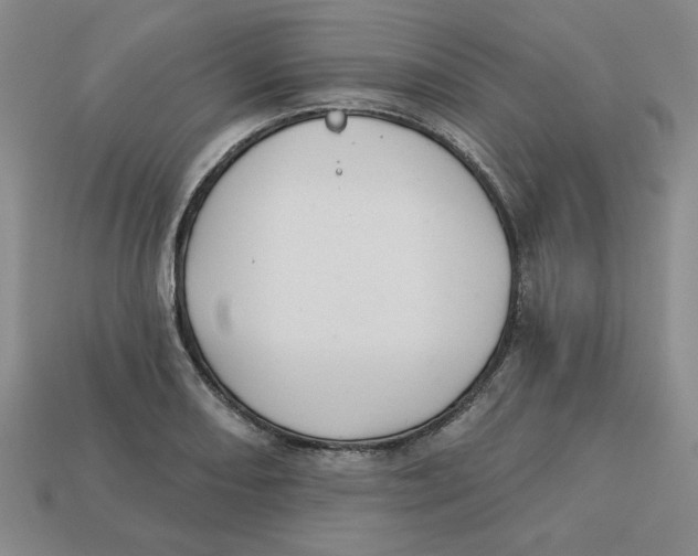 X0000113021082200909241630