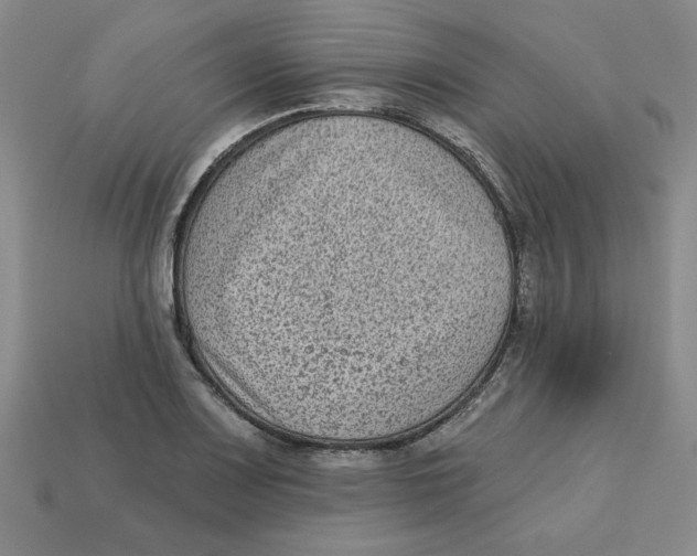 X0000113021083200909241630