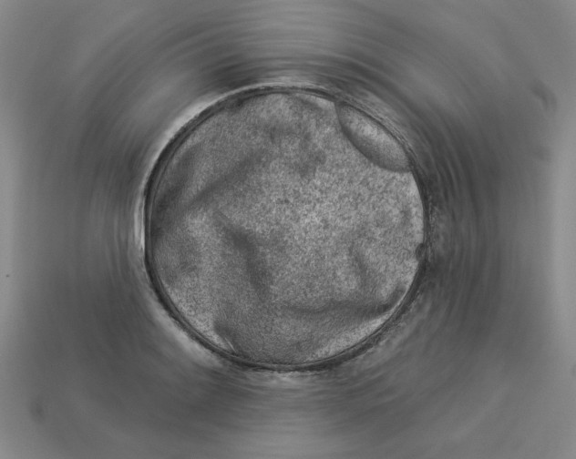 X0000113021084200909241630