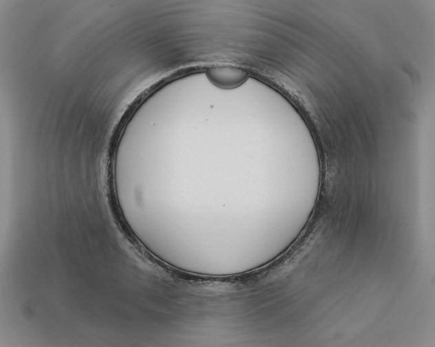 X0000113021085200909241630