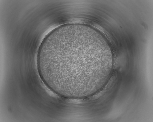 X0000113021086200909241630