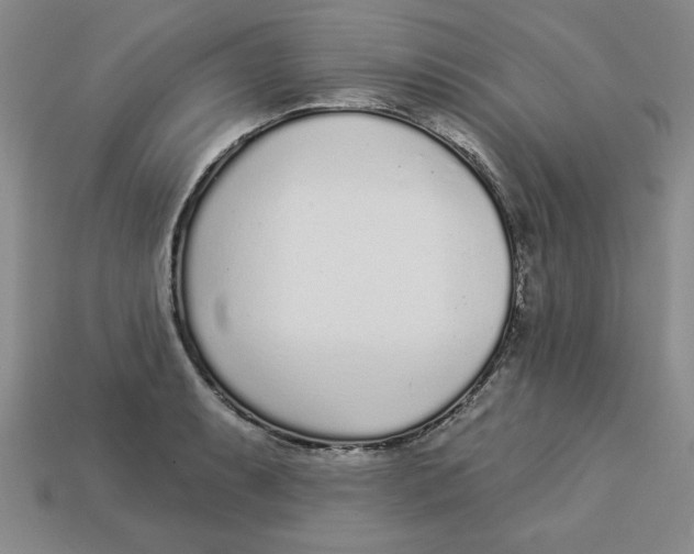 X0000113021087200909241630