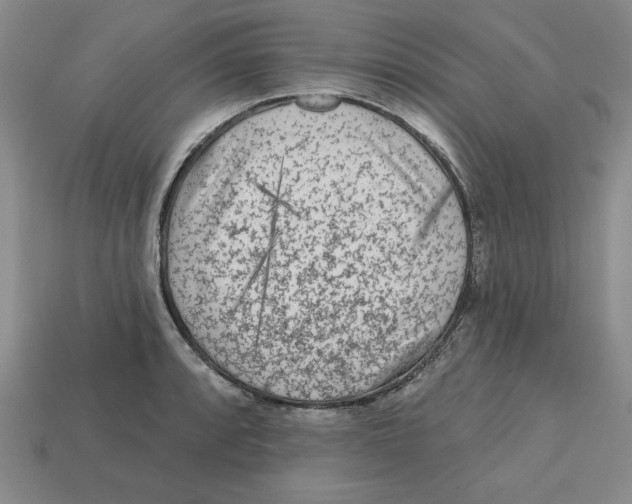 X0000113021088200909241630