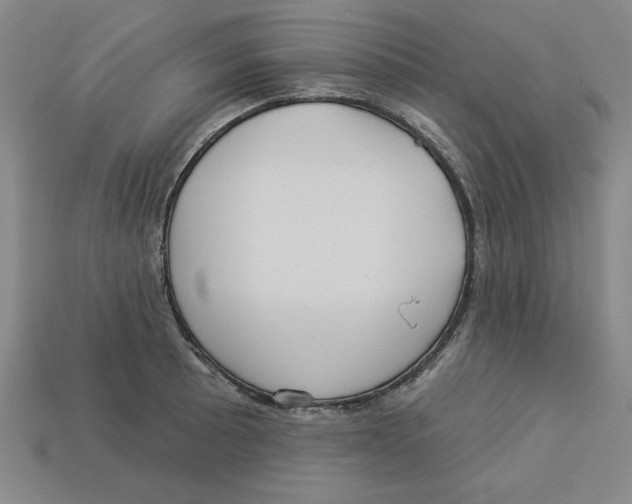 X0000113021089200909241630