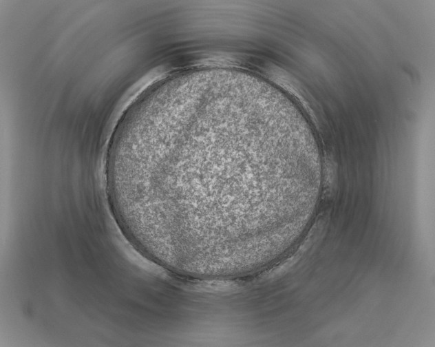 X0000113021090200909241630