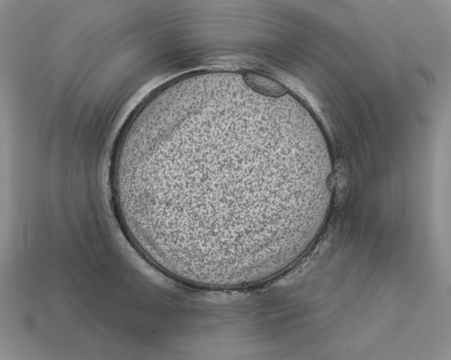 X0000113021091200909241630