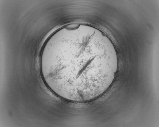 X0000113021092200909241630