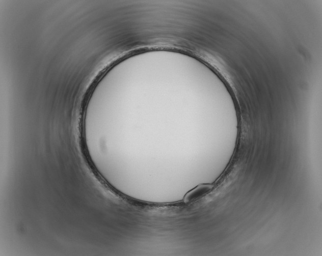 X0000113021093200909241630