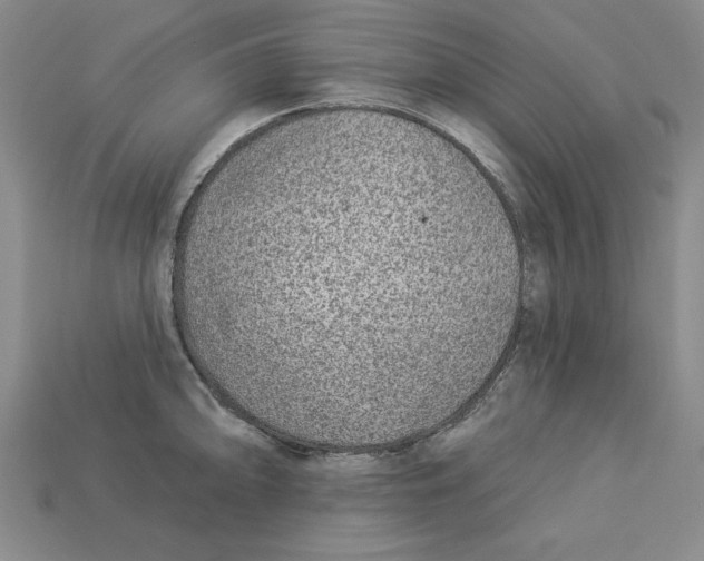 X0000113021094200909241630