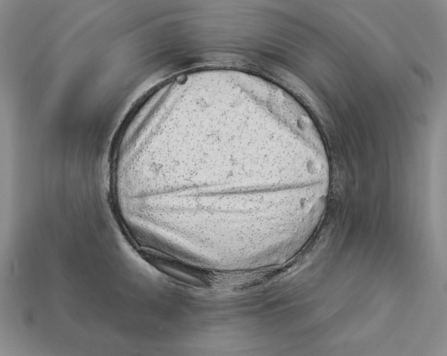 X0000113021095200909241630