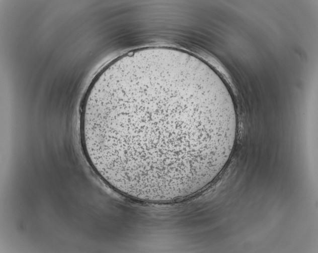 X0000113021096200909241630