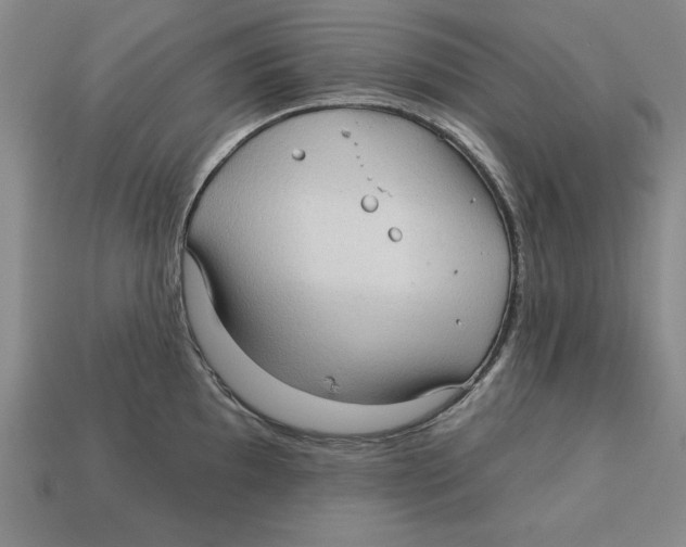 X0000113021097200909241630