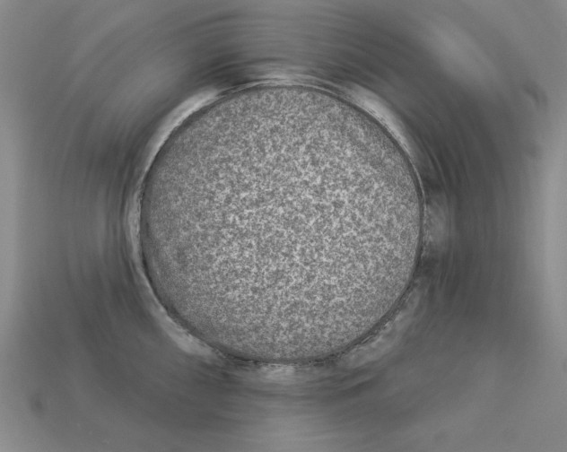 X0000113021098200909241630