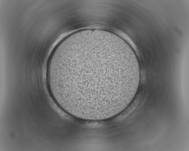 X0000113021099200909241630