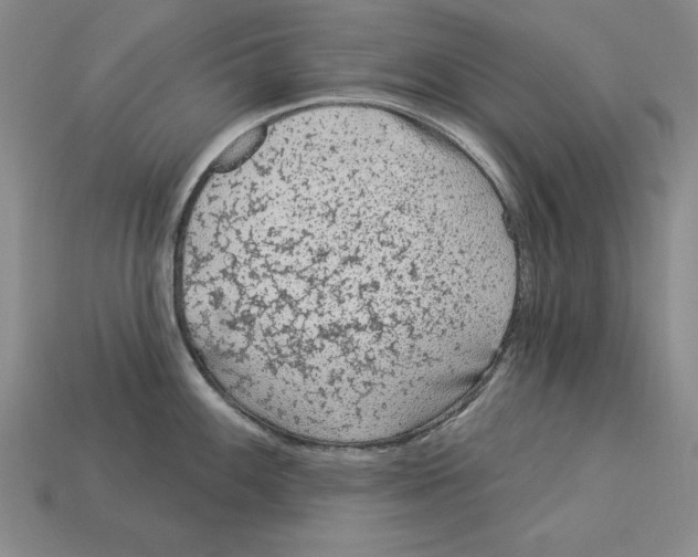 X0000113021100200909241630