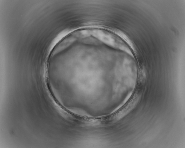 X0000113021101200909241630