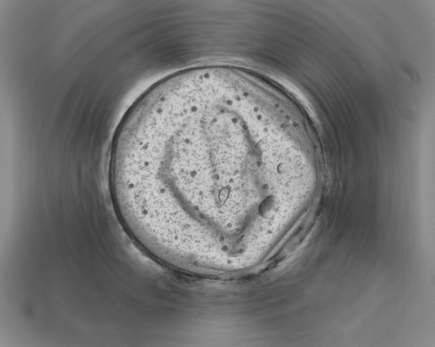 X0000113021102200909241630