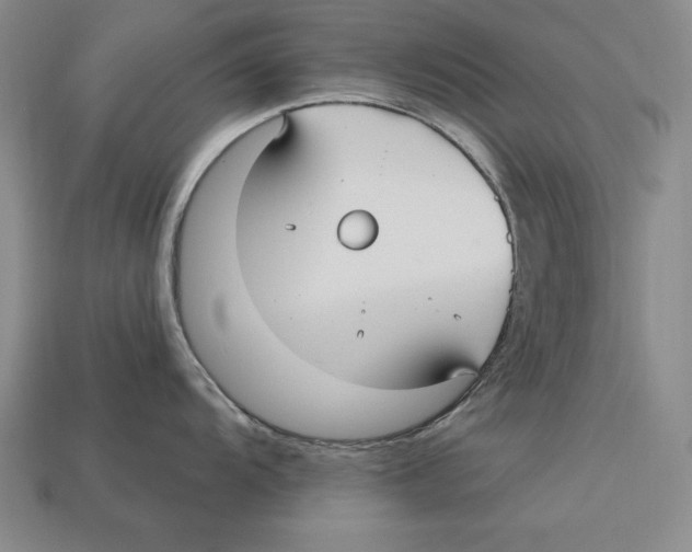 X0000113021104200909241630