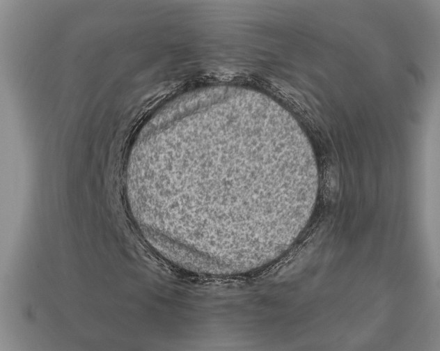 X0000113021105200909241629