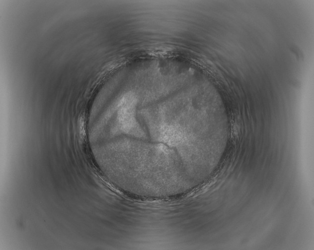 X0000113021106200909241629