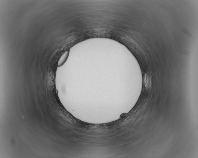 X0000113021107200909241629