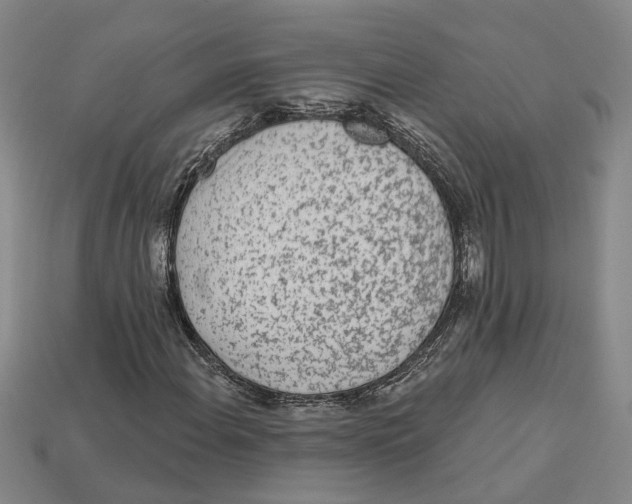 X0000113021108200909241629