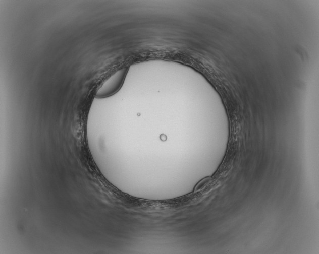 X0000113021109200909241629