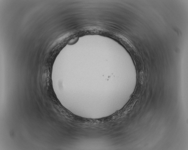 X0000113021111200909241629