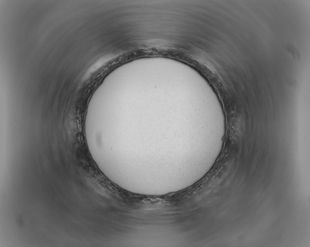 X0000113021112200909241629