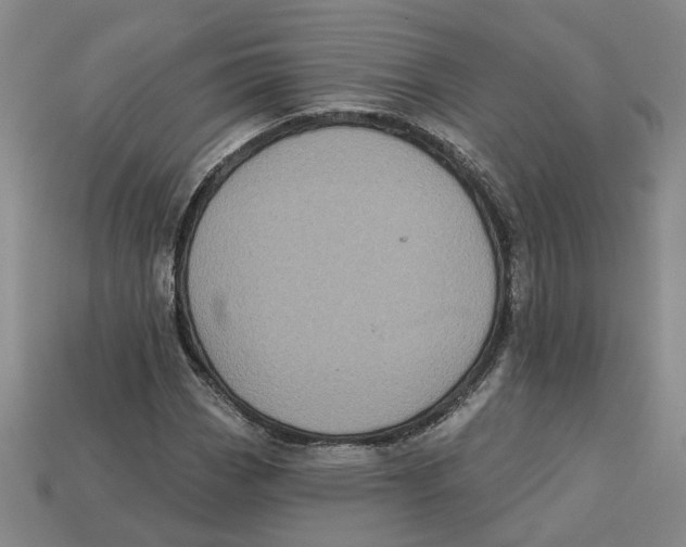 X0000113021113200909241629